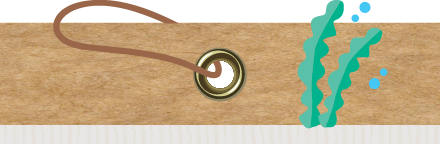 Okinawa Churaumi Aquarium