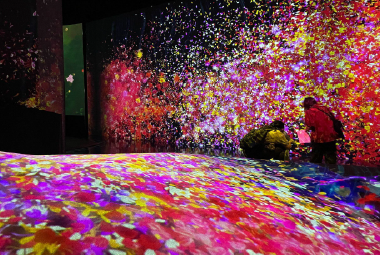 TeamLab Future Park Okinawa