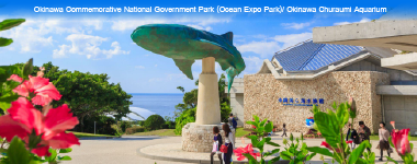 Okinawa Churaumi Aquarium